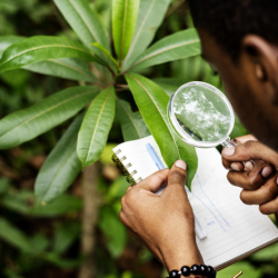 Illustration of biologist